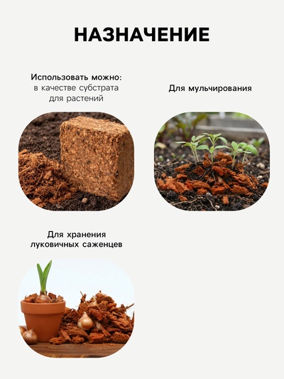 Кокосовые чипсы «Рецепты Дедушки Никиты», 5 л