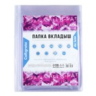 Файл-вкладыш А4, 180 мкм, Calligrata, ПВХ, усиленный, с расширением и клапаном. матовый, 5 штук - Фото 3