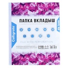 Файл-вкладыш А4, 100 мкм, Calligrata, ПВХ, усиленный, матовый, 10 штук 10175082 Файл-вкладыш А4, 100 мкм, Calligrata, ПВХ, усиленный, матовый, 10 штук 10175082