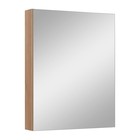 Зеркало-шкаф для ванной комнаты "Лада 50" графит, 12 х 50 х 65 см - Фото 1