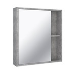 Зеркало-шкаф для ванной комнаты "Эко 60" серый бетон, 12 х 60 х 65 см - фото 301354180