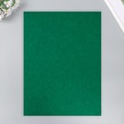 Фетр 1 мм "Тёмно-зелёный" набор 4 листа 30х40 см - фото 8868391