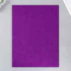 Фетр 1 мм "Тёмно-фиолетовый" набор 4 листа 30х40 см - фото 8868431