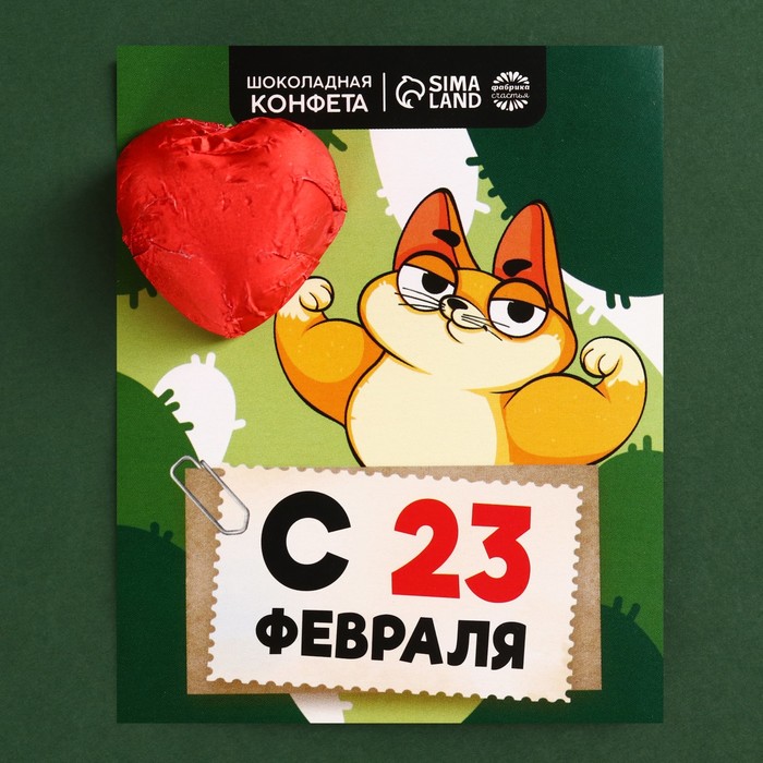 Конфета шоколадная на открытке «С 23 Февраля», 15 г.