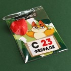 Конфета шоколадная на открытке «С 23 Февраля», 15 г. - фото 23631230