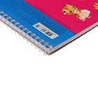 Альбом для рисования А4, 24 листа на гребне, Happy ZOO, обложка мелованный картон, перфорация на отрыв, блок 100 г/м2, МИКС - фото 23631251