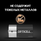 Батарейка алкалиновая OPTICELL, D, LR20-2BL, 1.5В, блистер, 2 шт 10320635 - фото 2553783