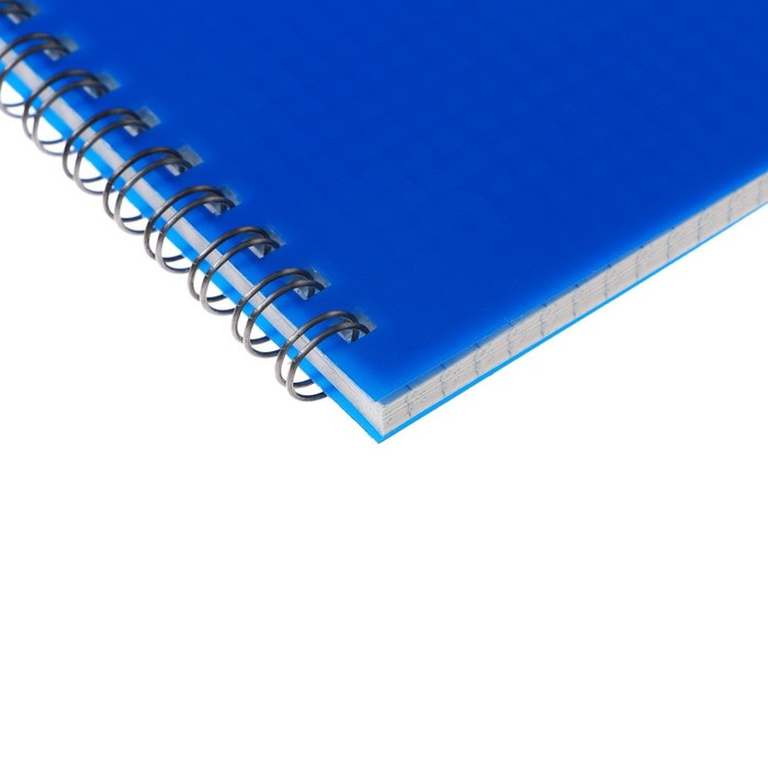 Тетрадь на гребне A5 48 листов в клетку "Синяя", пластиковая обложка, блок офсет