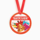 Медаль-магнит на Выпускной «Выпускник», диам. 6 см - Фото 2