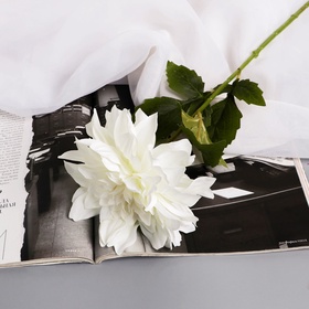 Цветы искусственные «Георгина экстра галант», h=60 см, d=15 см, белые (комплект 2 шт)