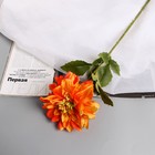 Цветы искусственные "Георгина экстра галант" 60 см d-15 см, оранжевый - фото 3266764