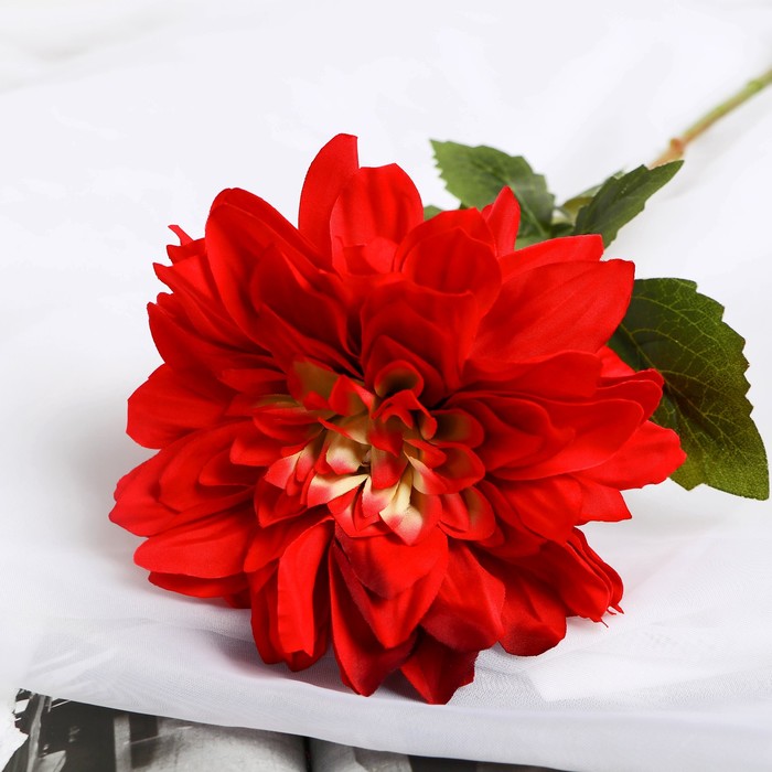 Цветы искусственные "Георгина экстра галант" 60 d-15 см, бордовый