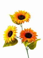 Цветы искусственные «Подсолнух галант», h=60 см, d=12 см, оранжевые (комплект 2 шт) - фото 63088961