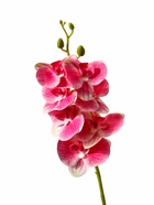 Цветы искусственные «Орхидея экстра галант», h=60 см, d=8 см, розовые 10084664