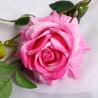 Цветы искусственные "Роза Вхите" 66 см, розовый - фото 8889201