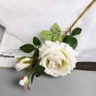 Цветы искусственные "Роза Вхите" 66 см, белый - фото 295759979