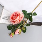Цветы искусственные "Роза Вхите" 66 см, светло-розовый - фото 8889204