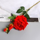 Цветы искусственные "Роза Вхите" 66 см, красный - фото 296963966