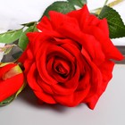 Цветы искусственные "Роза Вхите" 66 см, красный - фото 8889207