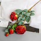 Цветы искусственные "Роза Солмус" d-7,5 см 64 см, красный - фото 3266774