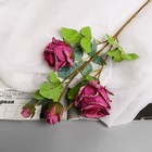 Цветы искусственные "Роза Солмус" d-7,5 см 64 см, сиреневый - фото 8889210