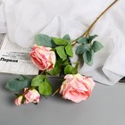 Цветы искусственные "Роза Солмус" d-7,5 см 64 см, розовый - фото 8889214