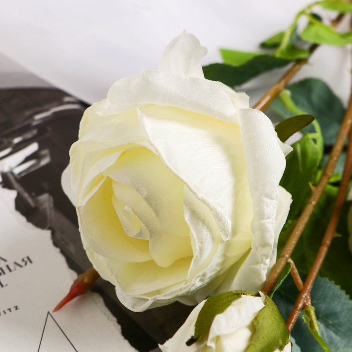 Цветы искусственные "Роза Солмус" d-7,5 см 64 см, белый