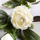 Цветы искусственные «Пион Эльза», h=64 см, d=10 см, белые - Фото 3