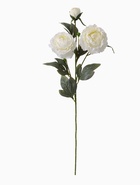 Цветы искусственные «Пион Эльза», h=64 см, d=10 см, белые - Фото 3