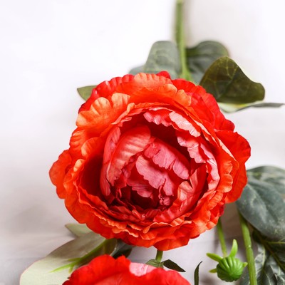 Цветы искусственные «Пион Эльза», h=64 см, d=10 см, персиковые