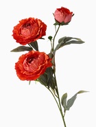 Цветы искусственные "Пион Эльза" d-10 см 64 см, персиковый - фото 809157219