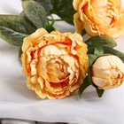 Цветы искусственные "Пион Эльза" d-10 см 64 см, светло-жёлтый - фото 8889225