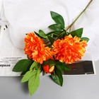 Цветы искусственные "Пион снежный пик" d-14 см 61 см, оранжевый - фото 321038096