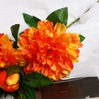 Цветы искусственные "Пион снежный пик" d-14 см 61 см, оранжевый - фото 8889229