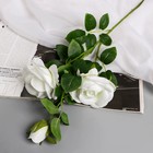 Цветы искусственные "Роза плетистая" d-10 см 67 см, белый - фото 3266792