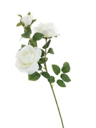 Цветы искусственные «Роза плетистая», d=10 см, h=67 см, белые  (артикул 10104922)  большой выбор товаров оптом и в розницу по низким ценам с доставкой