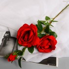 Цветы искусственные "Роза плетистая" d-10 см 67 см, красный - фото 321038100