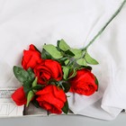 Цветы искусственные "Роза Триза" d-7 см 50 см, красный - фото 12080559
