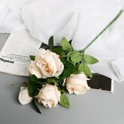 Цветы искусственные "Роза Триза" d-7 см 50 см, кремовый - фото 12080561