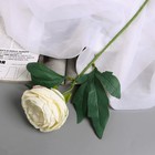Цветы искусственные "Пион Пижон" d- 8 см 45 см, белый - фото 8889246
