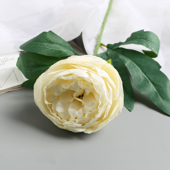 Цветы искусственные "Пион Пижон" d- 8 см 45 см, белый