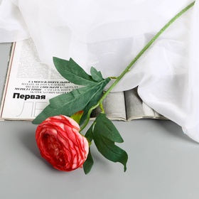 Красный