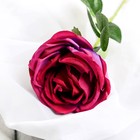 Цветы искусственные "Роза Вивальди" d-7 50 см, фиолетовый - фото 11512357