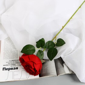 Цветы искусственные 'Роза Вивальди' d-7 50 см, красный