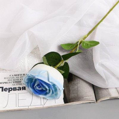 Цветы искусственные "Роза Вивальди" d-7 50 см, бело-голубой