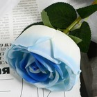 Цветы искусственные "Роза Вивальди" d-7 50 см, бело-голубой - Фото 2