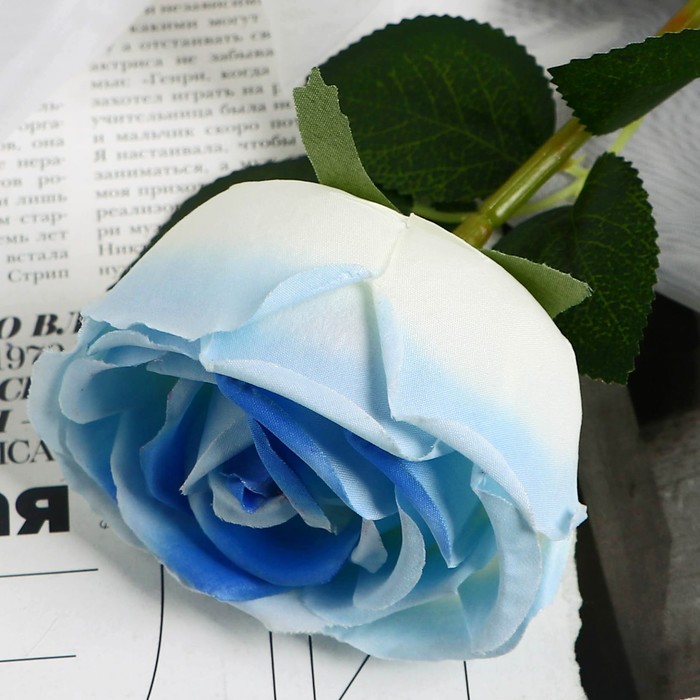 Цветы искусственные "Роза Вивальди" d-7 50 см, бело-голубой