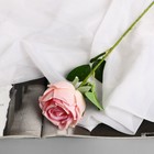 Цветы искусственные "Роза Вивальди" d-7 50 см, розовый - фото 12080581
