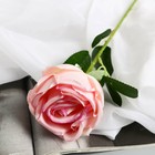 Цветы искусственные "Роза Вивальди" d-7 50 см, розовый - Фото 2