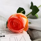 Цветы искусственные "Роза Вивальди" d-7 50 см, жёлто-розовый - фото 8889263
